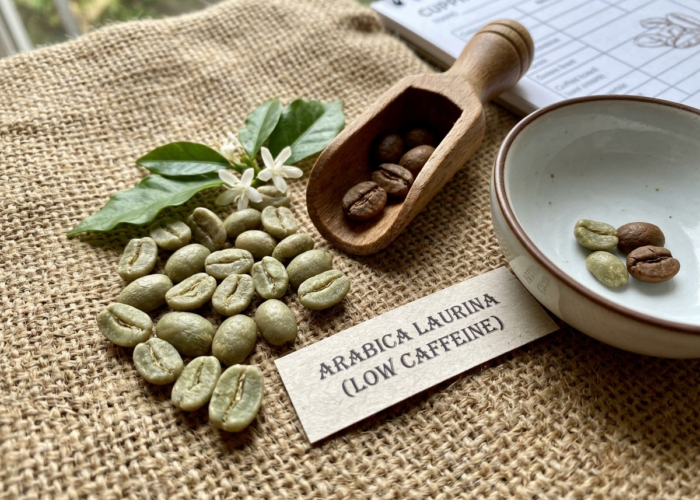 Arabica Laurina Low Caffeine Coffee